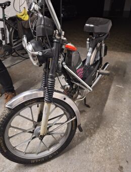 Verkaufe Hercules Prima m 4 Mofa - Bremen