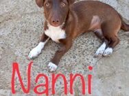 Nanni, die Zwillingsschwester von Hanni - Waakirchen