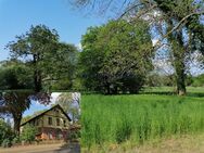 Mehrfamilienhaus zur Kapitalanlage mit ganz viel Grundstück und extra Bauplatz dazu - Gyhum