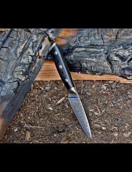 Schneidemesser | Gemüsemesser | Früchtemesser | 8.5cm Messerklinge | Damastmesser | Küchenmesser | G10 - Messergriff | VG10 Edelstahlkern | 67 Lagen Damaststahl - Sinsheim