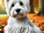 Notizbuch West Highland White Terrier, Buch, Hunde Motiv, Kalender, Organizer & Geschenkidee, Geschenk für Westie Liebhaber & Fans: Accessoires.. HUNDE NOTIZBÜCHER VON KATHLEEN BARON - Spremberg