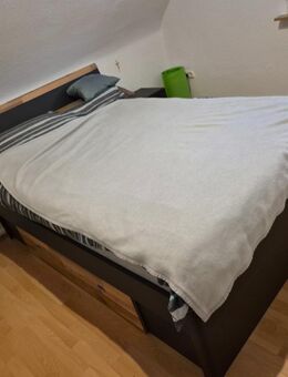 Schlafzimmer Bett - Sulzbach (Taunus)