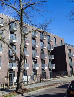 Großes 1-Raumapartment zur Miete in Potsdam Bornstedt - Wentzel Dr. - - Potsdam