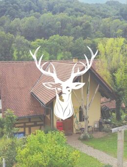 Wohnen mit speziellem Flair! Einzigartiges Einfamilienhaus in ruhiger Lage von Stühlingen zu verkaufen - Stühlingen