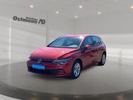 VW Golf, 1.5 TSI VIII Life, Jahr 2022 - Wolfhagen