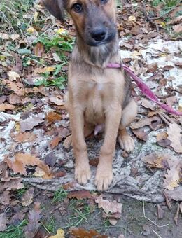 Urban - sucht dich ja dich - Philippsburg