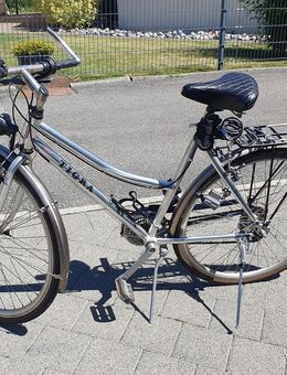 Tigra Velo - Kölliken
