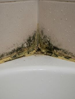 Silikonfugen erneuern - Bad Wurzach