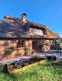 Zauberhafte Reetkate in Sackgassenendlage in den Feldern von Esgrus - Esgrus