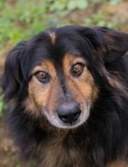 LENNOX - so zusammen mag ich es - Overath