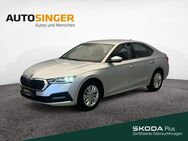 Skoda Octavia Lim. Ambition 1.5 TSI *LED*GRA*DIGITAL* - Marktoberdorf