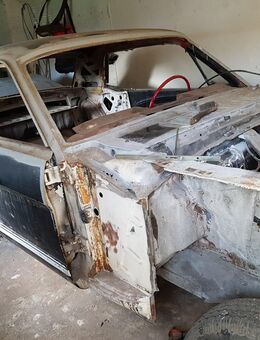 Mustang - Moers