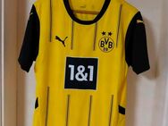 BVB Trikot 24/25 M neu - Dortmund Westerfilde