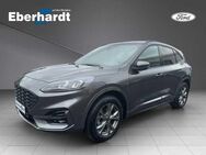 Ford Kuga Hybrid ST-Line X - Dortmund