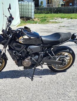 Biker Queen für perfekten Fahrgenuss gesucht - Planegg