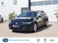 VW Golf Variant, 1.0 TSI Golf VIII Life AID, Jahr 2023 - Rostock