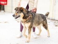 Schenkst du Mani ein warmes Körbchen? - München