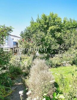 Sie bevorzugen XXL?... Aber nicht beim Preis? ... Kein Problem! - Heddesheim