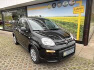 Fiat Panda, GSE Hybrid Fenster el, Jahr 2024 - Kloster Lehnin