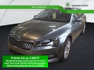 Skoda Superb, 1.5 TSI Combi Style, Jahr 2024 - Gersthofen