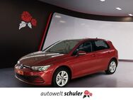 VW Golf, 1.0 TSI VIII Life, Jahr 2022 - Zimmern (Rottweil)