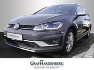 VW Golf, 7 Alltrack TDI, Jahr 2019 - Gengenbach