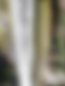 Rei*** - Rehburg-Loccum