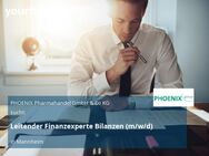 Leitender Finanzexperte Bilanzen (m/w/d) - Mannheim