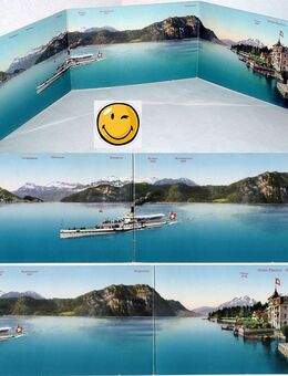 Ak, Schweiz, Vierwaldstätter See, Weggis, Hotel-Pension Rigi, Arthur Spicker, Raddampfer Schwyz - Sinsheim