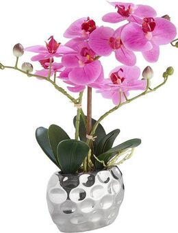 Kunstpflanze Orchidee Orchidee, Leonique, Höhe 38 cm, Kunstorchidee, im Topf, Bestseller, über 2500 4,5-Sterne-Bewertungen