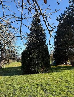 „ Das großzügige 3 - 4 Familienhaus in bester Aussichtslage !„ - Neuhausen (Fildern)