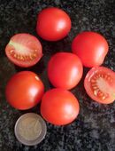 Tumbler - Zwergtomate in 70569