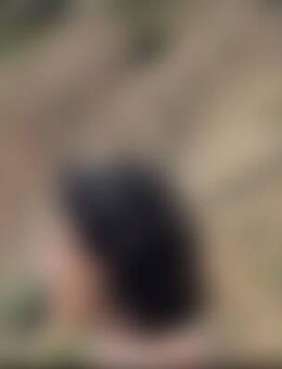 Len*** - Waldshut-Tiengen