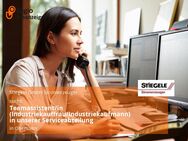 Teamassistent/in (Industriekauffrau/Industriekaufmann) in unserer Serviceabteilung - Obersulm
