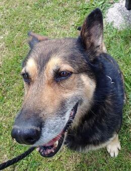 URMEL - Bewegung tut allen gut - Overath