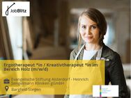 Ergotherapeut *in / Kreativtherapeut *in im Bereich Holz (m/w/d) - Bargfeld-Stegen