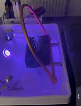 Head Spa Waschbecken mit klappbarer Massageliege + Dampfgerät - Sulzfeld (Baden-Württemberg)
