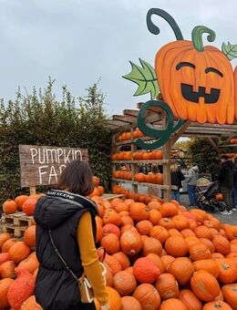 Einen Menschen suchen, der ein Leben lang an meiner Seite bleibt - Berlin