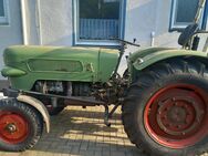 Fendt Farmer 2 - Lübbecke