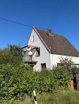 **Absolute Seltenheit, freistehendes Einfamilienhaus in einer einzigartigen Landschaft von Leimen** - Leimen (Rheinland-Pfalz)