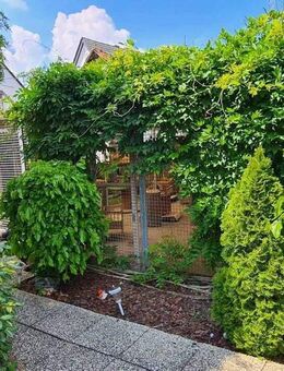 Einzigartige Gelegenheit: Etablierte Katzenpension mit 310 m² überdachtem Außenbereich und Bungalow - Rüsselsheim