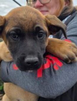 Mach dein Herz auf für Pia! - München