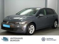 VW Golf, 2.0 TDI VIII Life AppConnect, Jahr 2020 - Blaubeuren