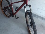 Mountainbike Fahrrad Focus Whistler 3.7 zu verkaufen - Saarbrücken