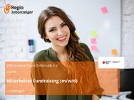Mitarbeiter Fundraising (m/w/d) - Balingen