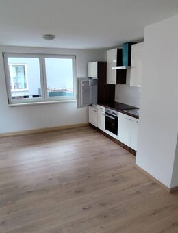 Praktische und helle 1-Zimmer-Wohnung mit Einbauküche - Frammersbach