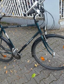(111) 21 Gang 28 Zoll Rh57 - Mainz