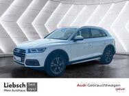 Audi Q5, DESIGN, Jahr 2017 - Lübben (Spreewald)