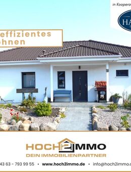 Erste Sahne! Geschmackvoller Bungalow auf liebevoll angelegtem Grundstück - Oldenburg (Holstein)
