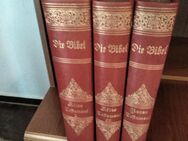 Die Bibel - von Dr. Rudolf Pfleiderer - 3 Bände, ca 1890 - Regensburg